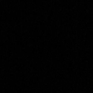 Meet your Posher, Bernard